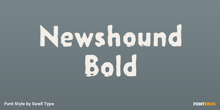 Newshound Bold Poster