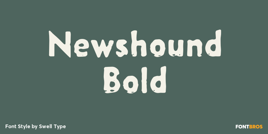 Newshound Bold Poster