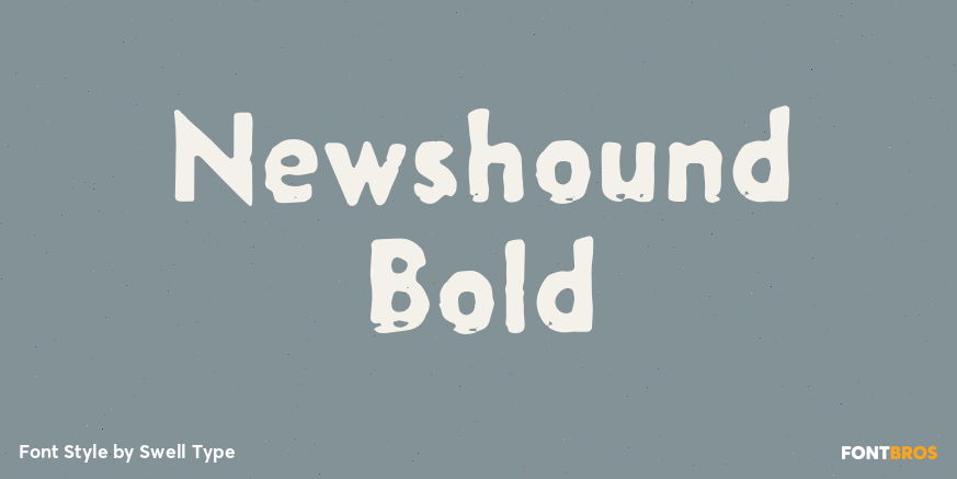 Newshound Bold Poster