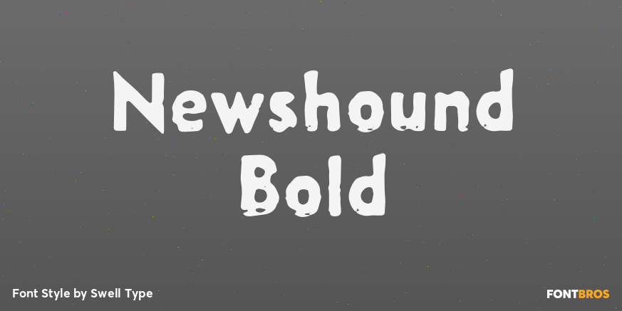 Newshound Bold Poster