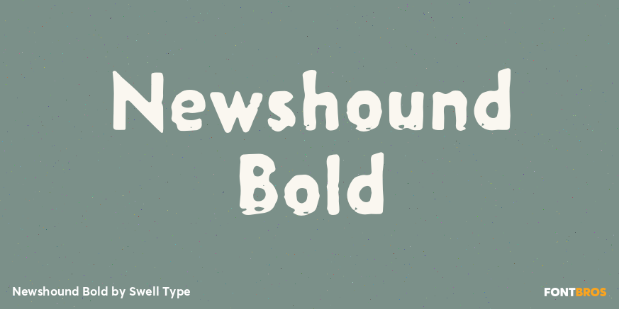Newshound Bold Poster