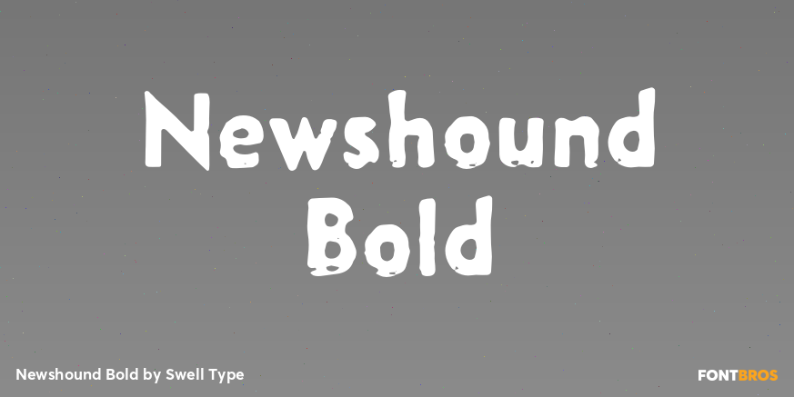 Newshound Bold Poster