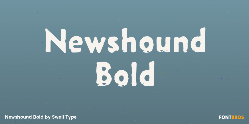 Newshound Bold Poster