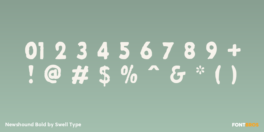 Newshound Bold Font Poster #4