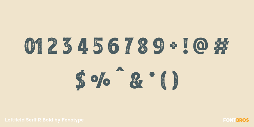 Leftfield Serif R Bold Font Poster #1