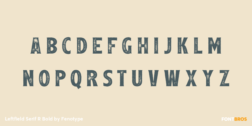 Leftfield Serif R Bold Font Poster #2