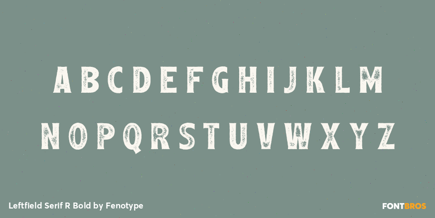 Leftfield Serif R Bold Font Poster #3