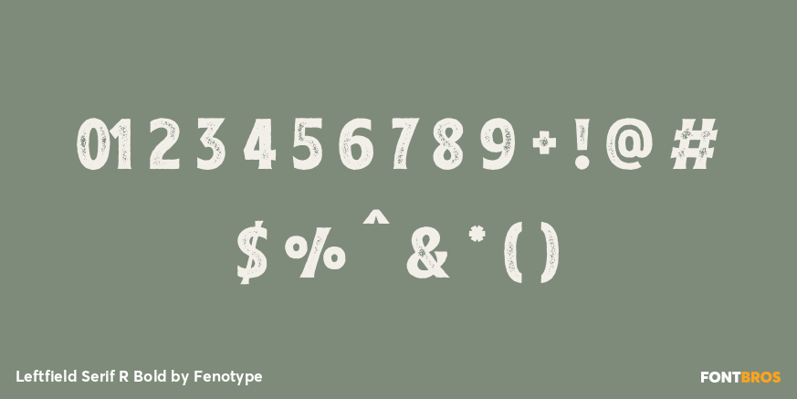 Leftfield Serif R Bold Font Poster #4