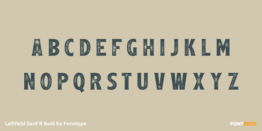 Leftfield Serif R Bold Font Poster #1