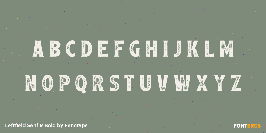 Leftfield Serif R Bold Font Poster #1