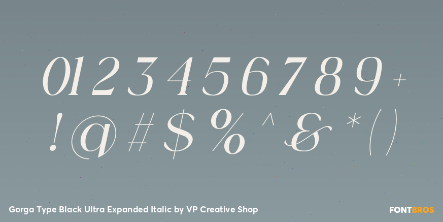 Gorga Type Black Ultra Expanded Italic Font Poster #4