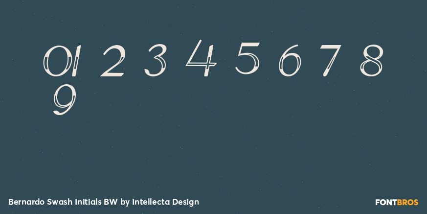 Bernardo Swash Initials BW Font Poster #1