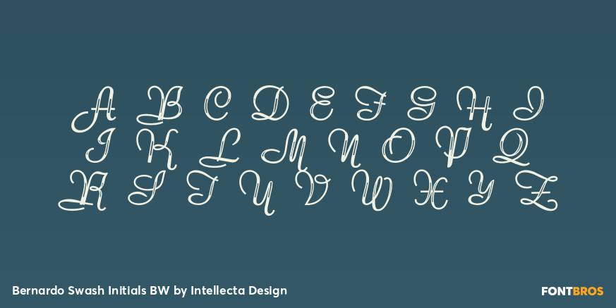 Bernardo Swash Initials BW Font Poster #2