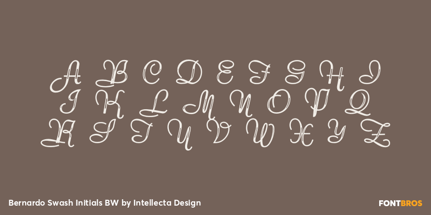 Bernardo Swash Initials BW Font Poster #1