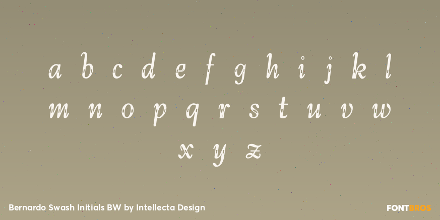 Bernardo Swash Initials BW Font Poster #1
