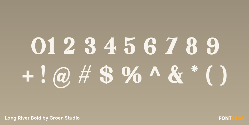 Long River Bold Font Poster #4