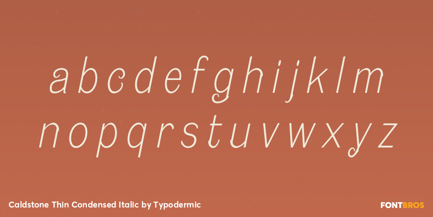 Caldstone Thin Condensed Italic Font Poster #3