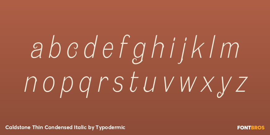 Caldstone Thin Condensed Italic Font Poster #1