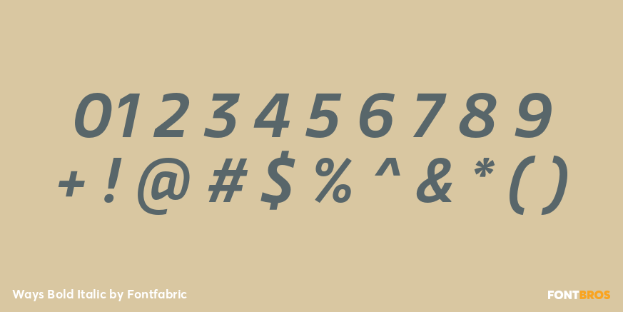 Ways Bold Italic Font Poster #4