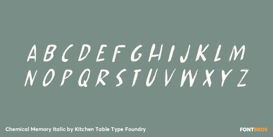 Chemical Memory Italic Font Poster #1