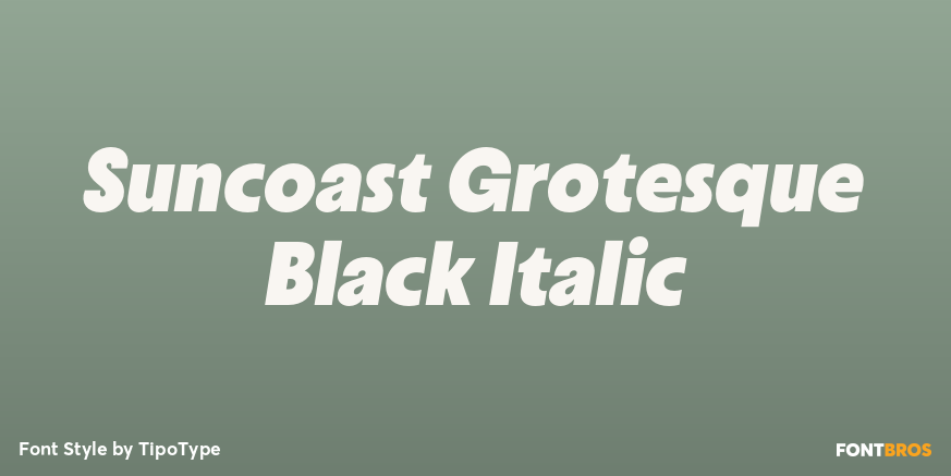 Suncoast Grotesque Black Italic Font Poster #1
