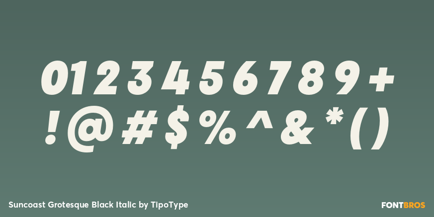 Suncoast Grotesque Black Italic Font Poster #4