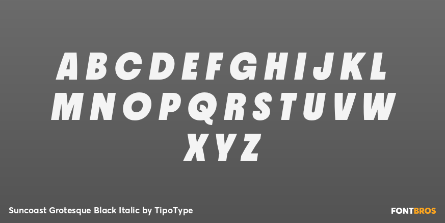 Suncoast Grotesque Black Italic Font Poster #2