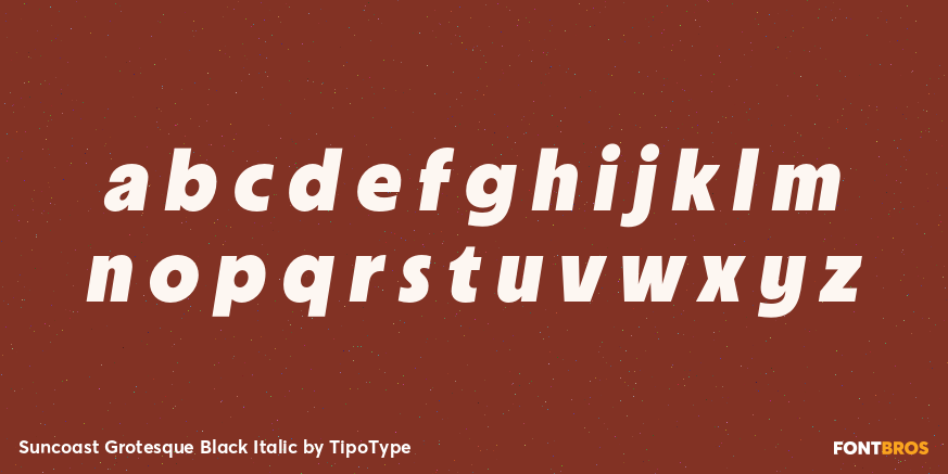 Suncoast Grotesque Black Italic Font Poster #3