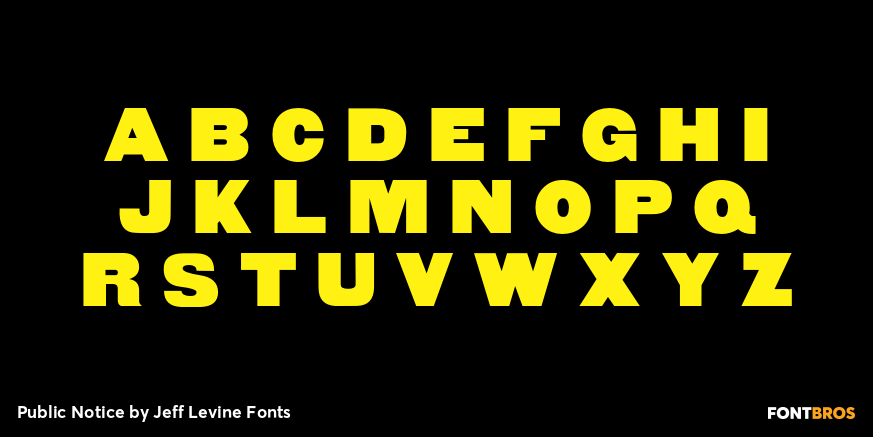 Public Notice Font Poster #3