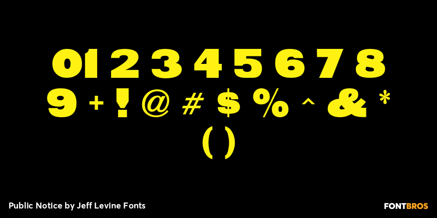 Public Notice Font Poster #4