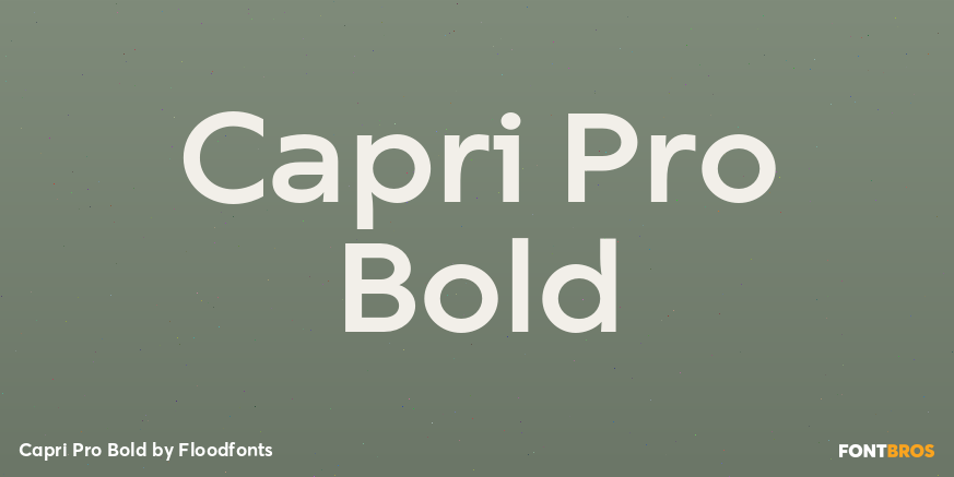 Capri Pro Bold Font Poster #1