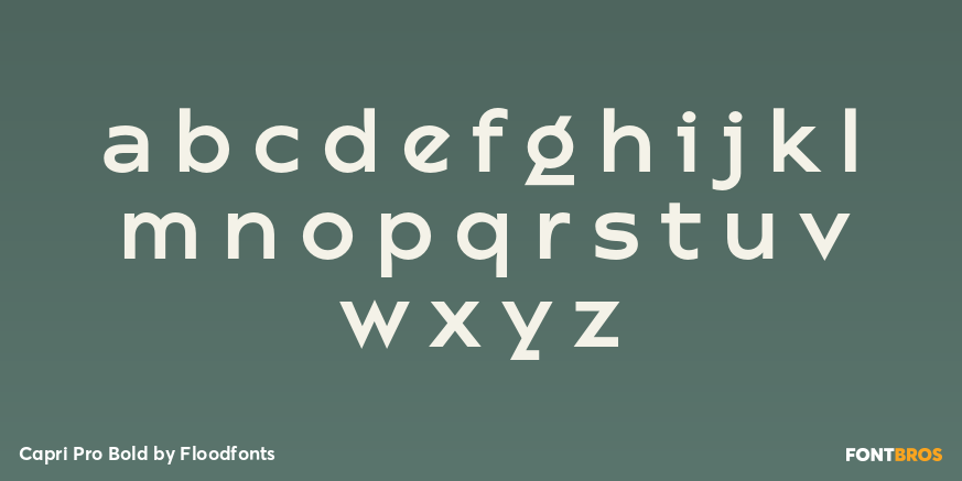 Capri Pro Bold Font Poster #3