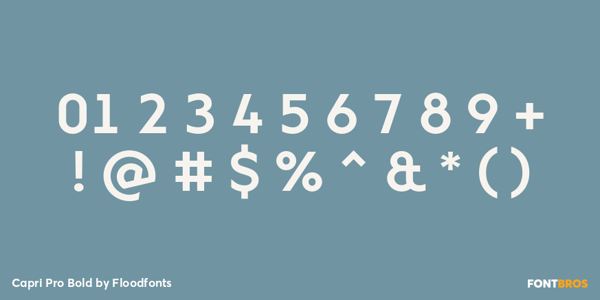 Capri Pro Bold Font Poster #4