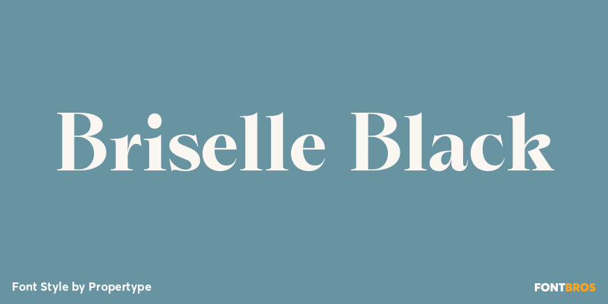 Briselle Black Font Poster #1