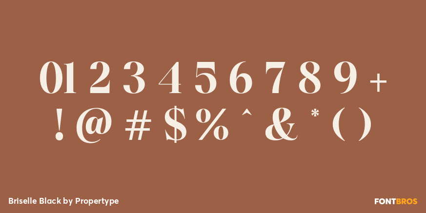 Briselle Black Font Poster #4