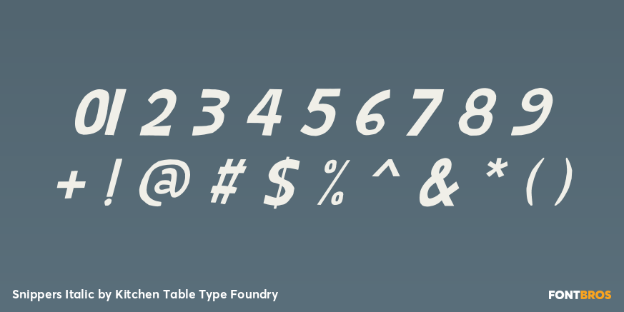 Snippers Italic Font Poster #4