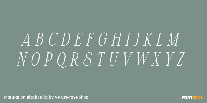 Maturation Black Italic Font Poster #3