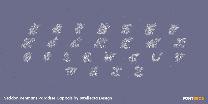 Seddon Penmans Paradise Capitals Font Poster #2