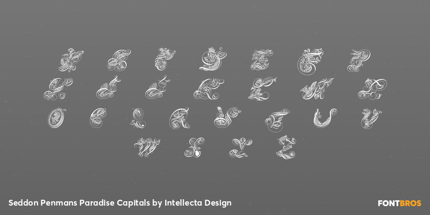 Seddon Penmans Paradise Capitals Font Poster #3