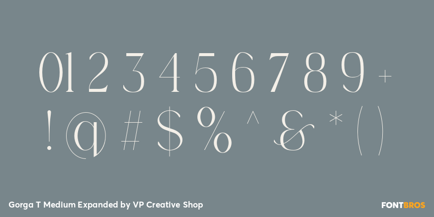 Gorga T Medium Expanded Font Poster #4
