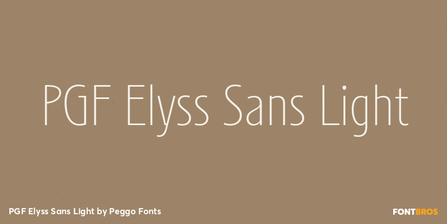 PGF Elyss Sans Light Poster