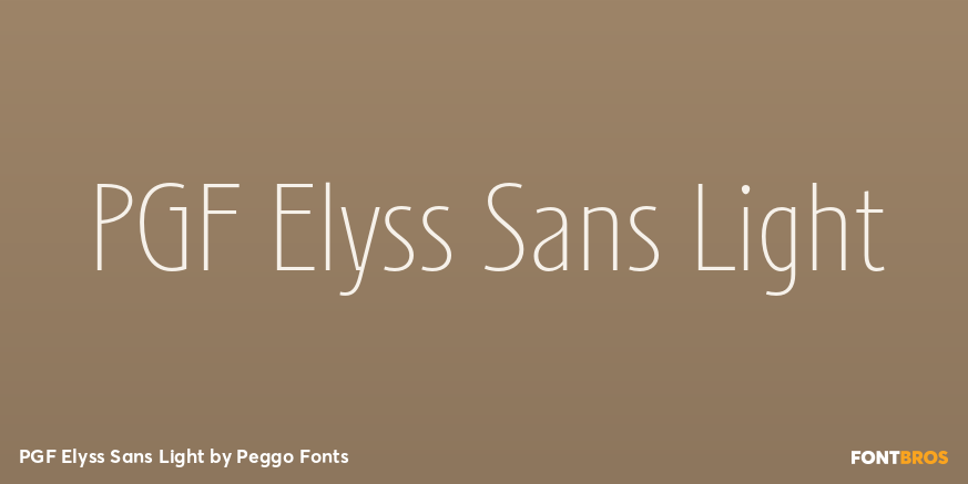 PGF Elyss Sans Light Poster