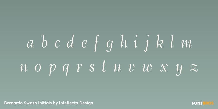 Bernardo Swash Initials Font Poster #3