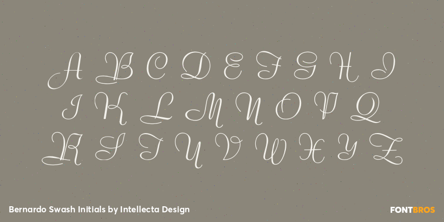 Bernardo Swash Initials Font Poster #1