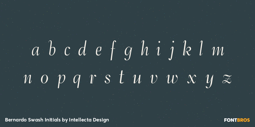 Bernardo Swash Initials Font Poster #1