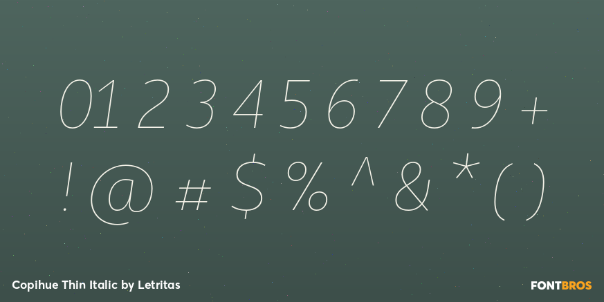 Copihue Thin Italic Font Poster #4