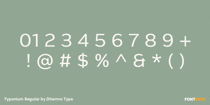 Typonium Regular Font Poster #4
