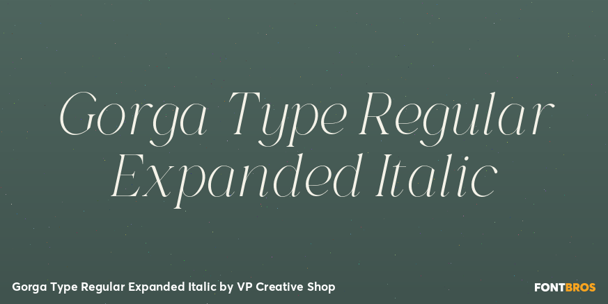 Gorga Type Regular Expanded Italic Font Poster #1