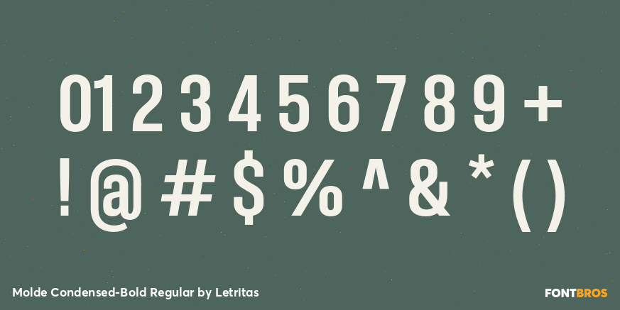 Molde Condensed-Bold Regular Font Poster #4