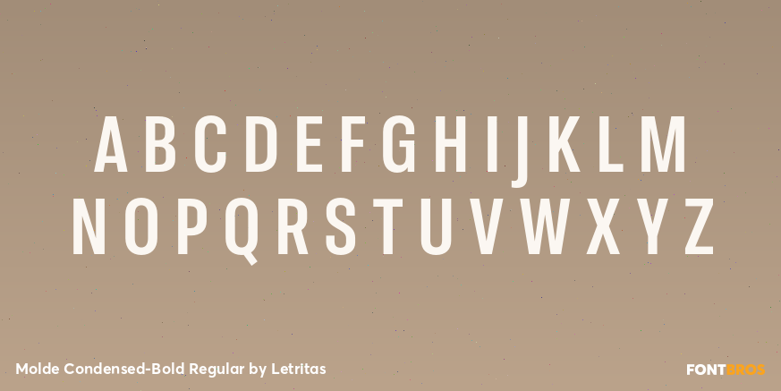 Molde Condensed-Bold Regular Font Poster #2